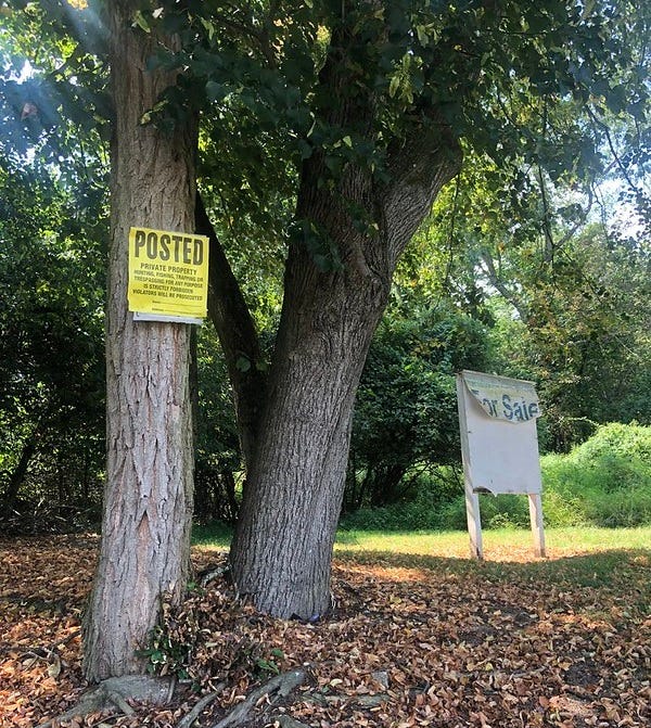 Posted No Hunting sign near the park.