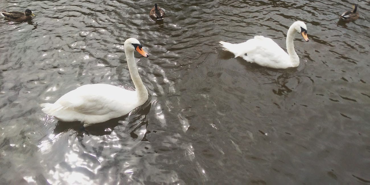 The hitchhiker and bad craziness on a sceptred isle