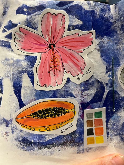 Sketch books and sketches