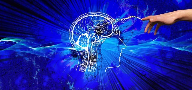 The 5 Psychological Triggers That Increase Paid Subscribers by 10-20%