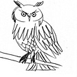 Write Owls's avatar
