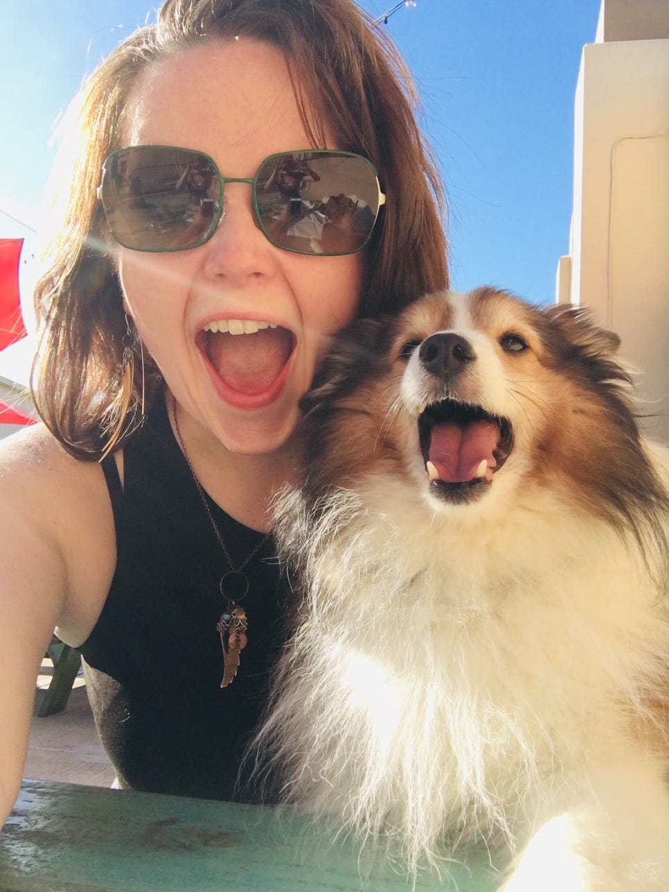 White woman with sun glasses sitting at table with small white and red sheltie, both smiling with mouths open