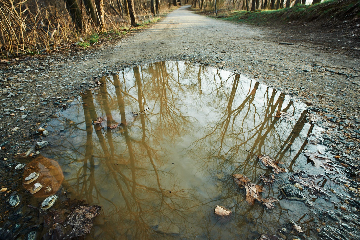 sample photo Nikkor 18mm AIs