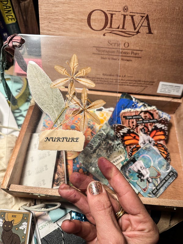 My Everyday Life Week 50 of 2025- Tracy Benjamin of Shutterbean.com