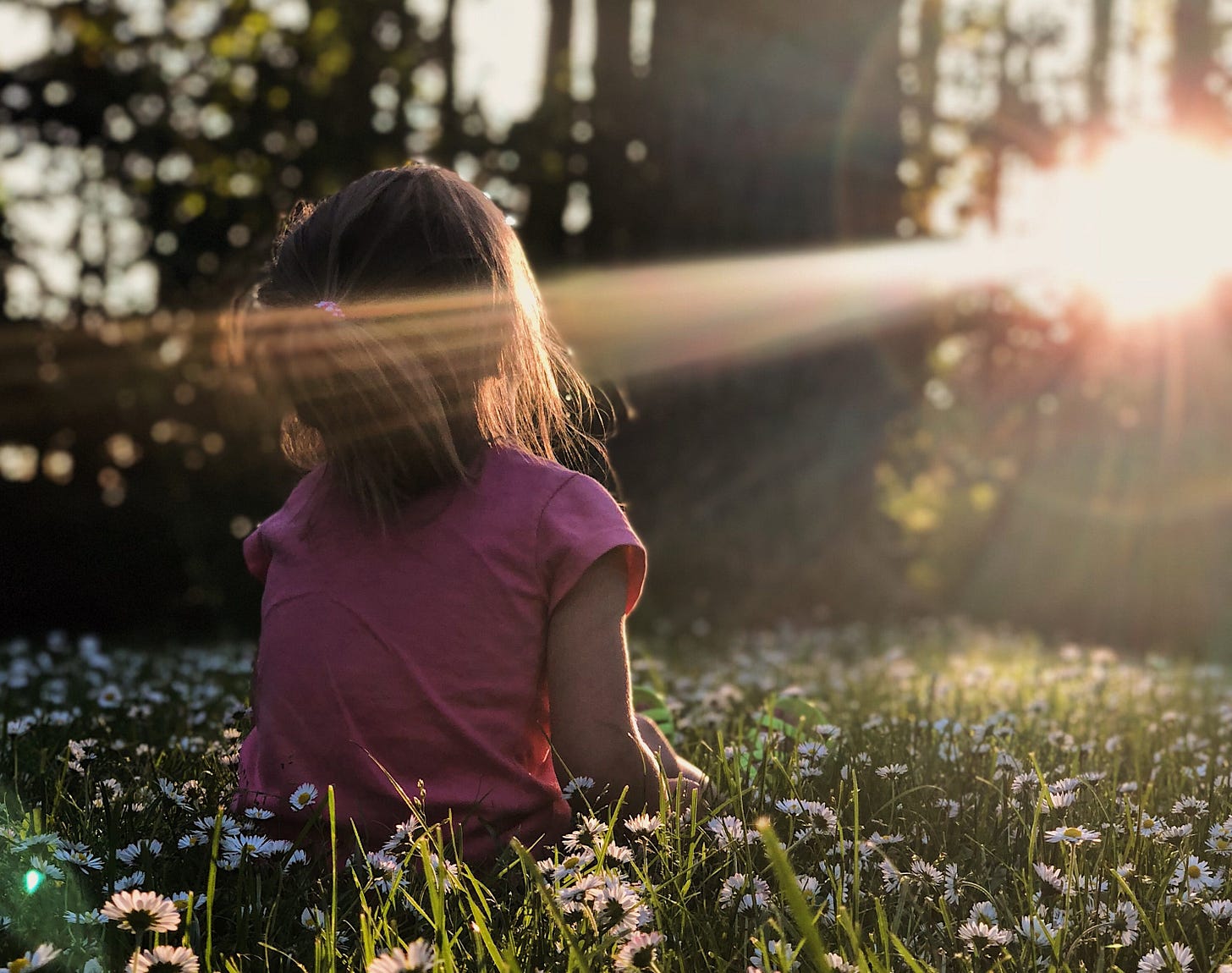  Little girl in field of flowers looking at ray of sun