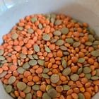 Seven Ways of Looking at a Lentil