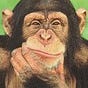 Chimp's avatar