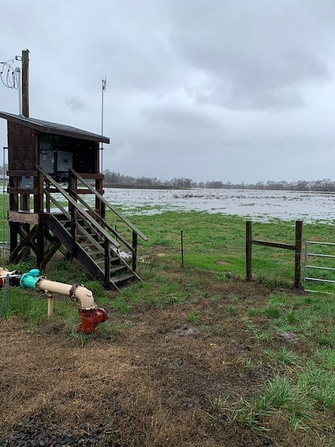 Laguna de Santa Rosa near Sunset Ave