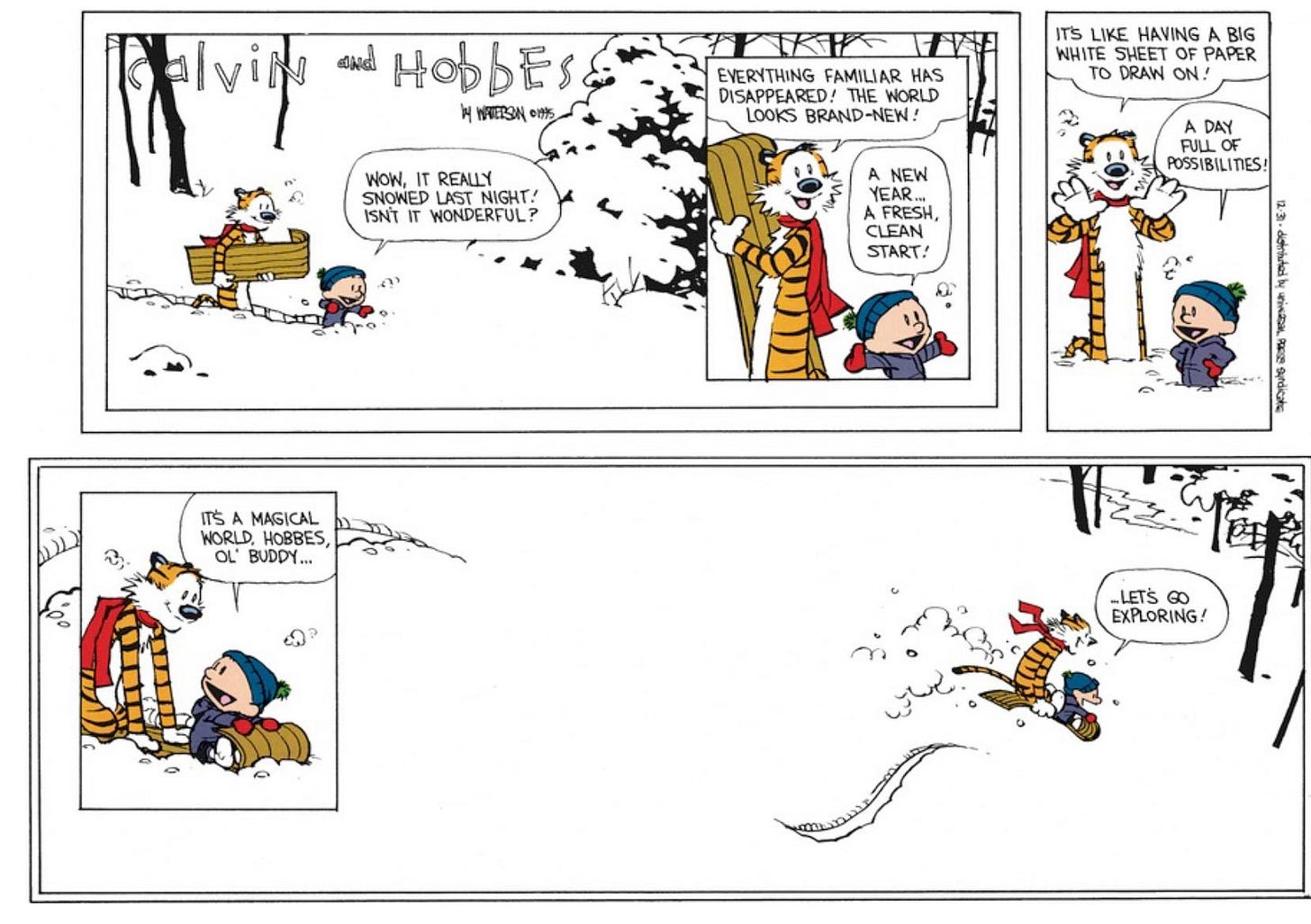 r/calvinandhobbes - Honestly, knowing this one was the last Calvin and Hobbes comic strip ever posted gives it a whole new meaning.