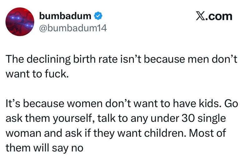 May be an image of text that says 'bumbadum @bumbadum14 X.com The declining birth rate isn't because men don't want to fuck. It's because women don't want to have kids. Go ask them yourself, talk to any under 30 single woman and ask if they want children. Most of them will say no'