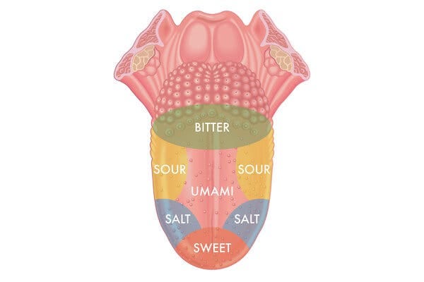 A diagram of a human tongue with various tastes — bitter, sour, salty, sweet, umami — colored on different areas of the tongue against a white background.
