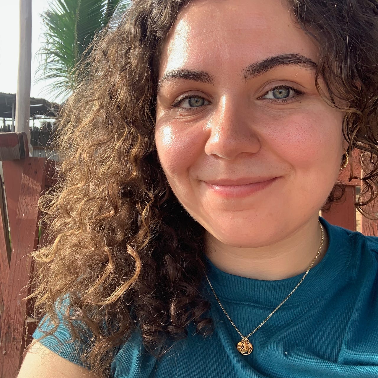 External Validation & French Fries