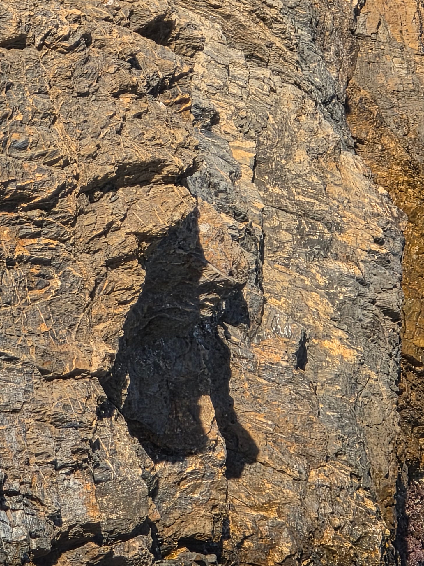 Gato de Sa Tuna, pintado sobre la roca en el camino de Ronda en la Costa Brava, Girona. Gato de Sa Tuna, pintado sobre la roca en el camino de Ronda en la Costa Brava, Girona.