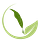 Between Leaves & Letters