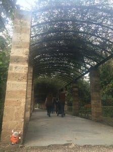 Gardens Gardens