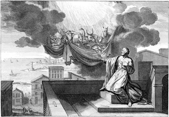 Peter's Vision | Pitts Digital Image Archive | Emory University