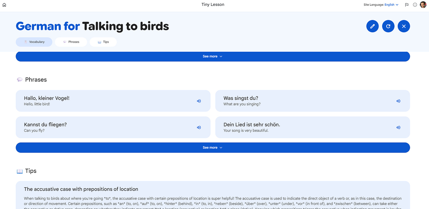 Little Langyage Lesson experiment by Google, using German to talk to birds