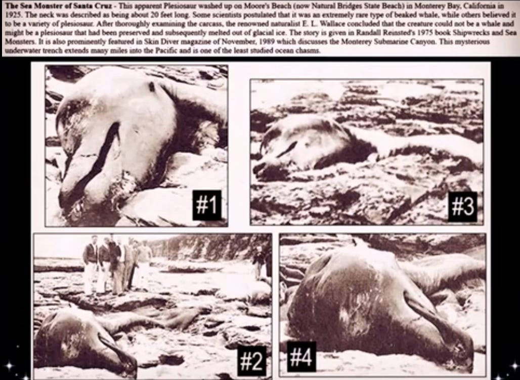 Demolishing Evolution Theory [Evolution Hoax Part 3]
