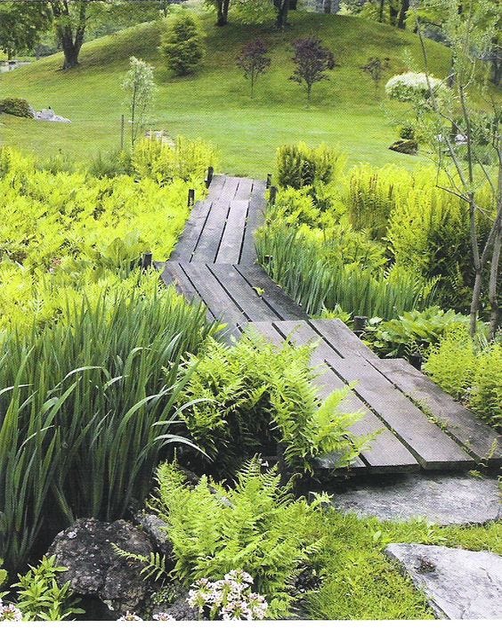 bog garden