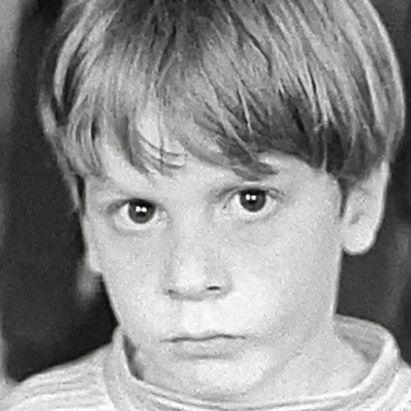 Tilt/Shift - A Survival Guide from Stephen Lewis Studio