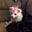 Jeanne Fredrickson's avatar