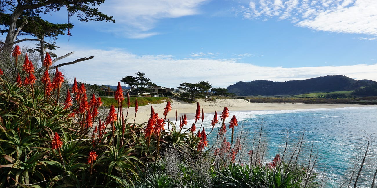 The Grand Dame of Carmel