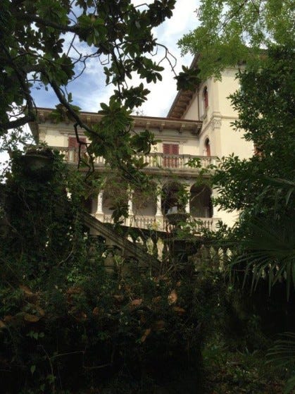 villa magnolia through the trees villa magnolia through the trees