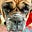 Phil Weltner's avatar