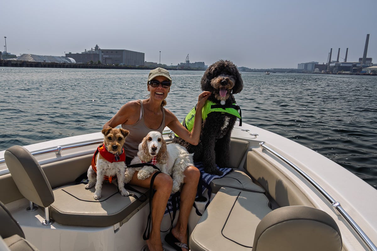 Woman with two small dogs and a large golden doodle on the bow of a boat in Boston Harbor