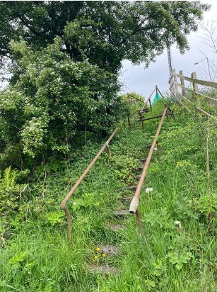 Two photos showing grey steps outside covered in grass