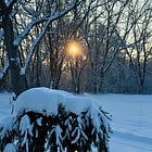 Listening to the Quiet