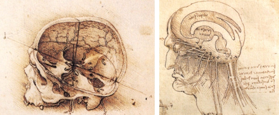A Renaissance brain - Mapping Ignorance A Renaissance brain - Mapping Ignorance