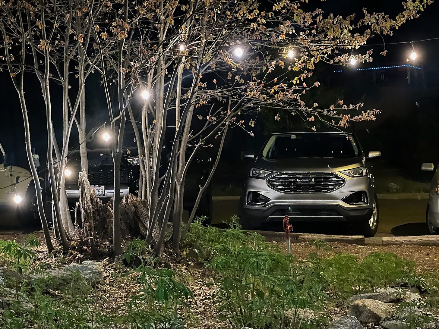 A Ford Edge parked up by a fairy-lit try in the evening-time