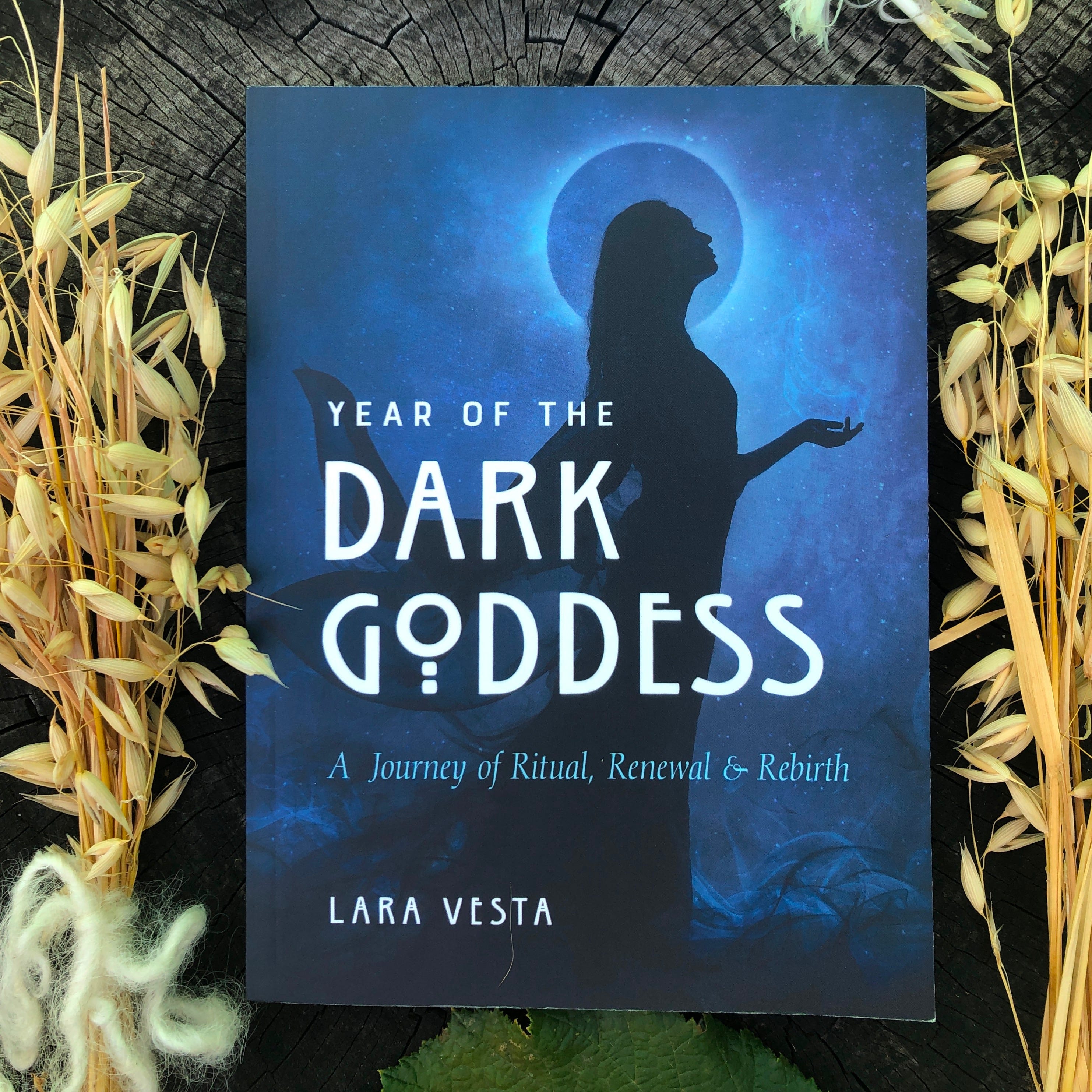 Artwork for Lara Vesta