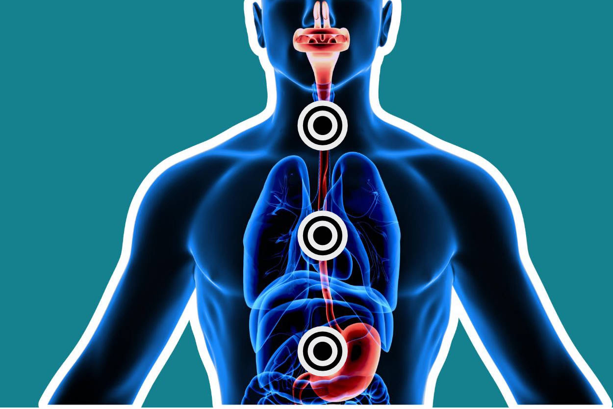 The body gives signals about what it needs which the brain interprets