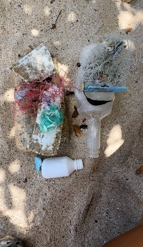 marine debris I have found walking along the beach. Large plastic bouys and plastic pieces and hagfish traps. broken plastic forks and straws in a pile of trash and some bottles and fishing nets and line laying in the sand