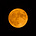 matt gold's avatar