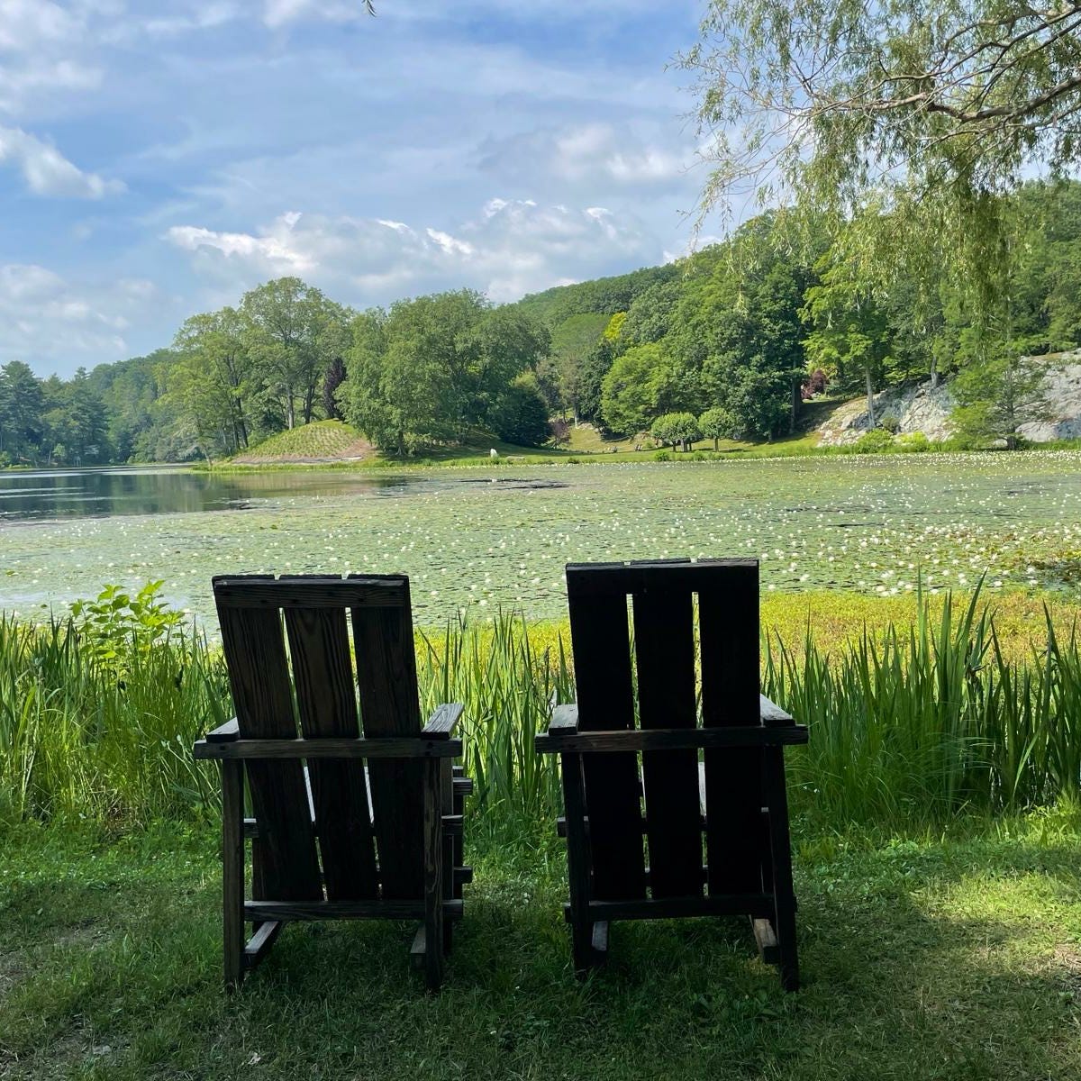 Practically on Purpose with Allie Canton