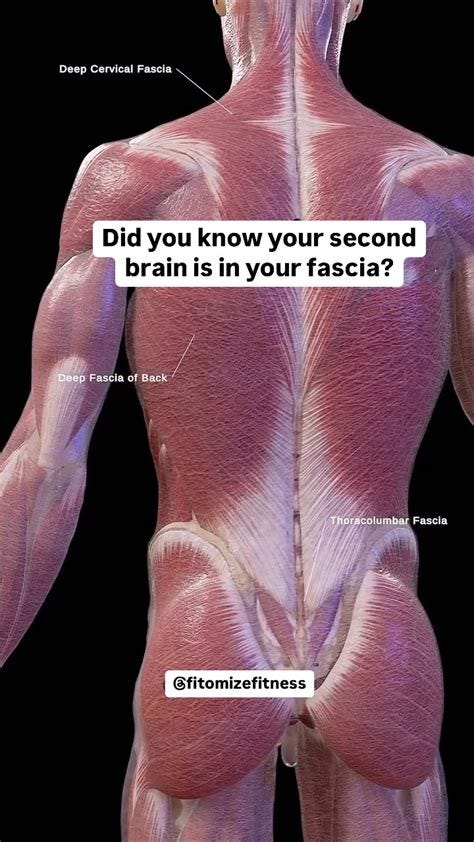 Julie • Movement & Life Coach (@fitomizefitness) • Instagram photos and videos