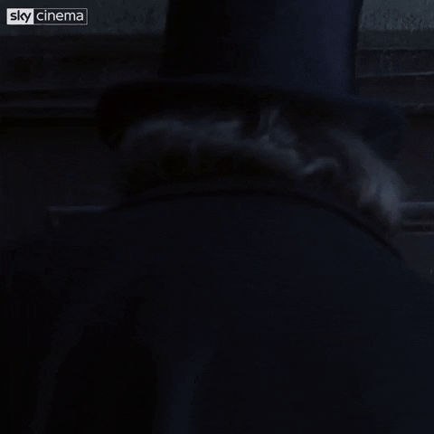 sassy muppet christmas carol GIF by Sky sassy muppet christmas carol GIF by Sky