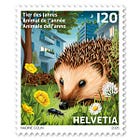 Un riccio da collezione 🦔📮