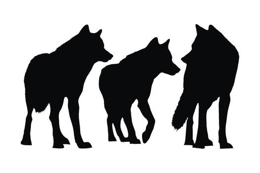 Collection of Black and White Wolf Silhouettes in Various Positions wolves  howling different poses wolf silhouette howling animal wildlife nature  black white illustration 67482356 Vector Art at Vecteezy