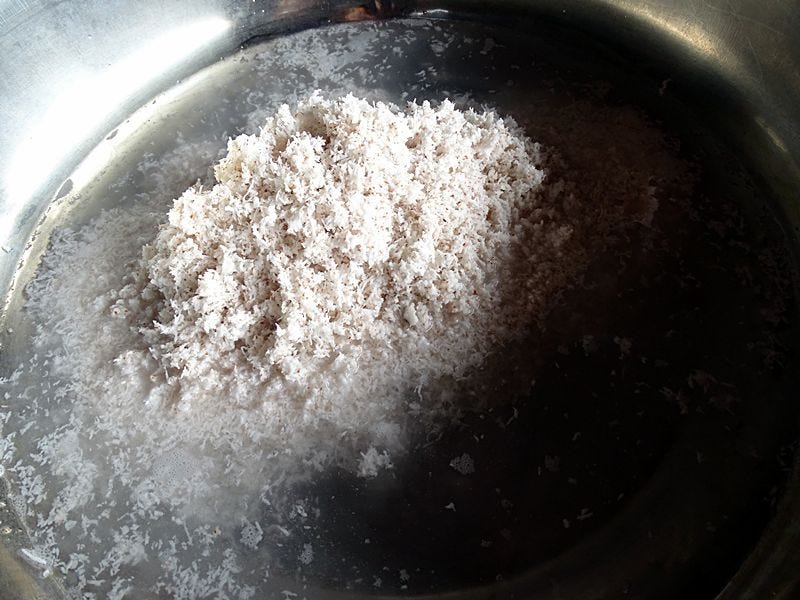 Freshly grated coconut soaking in water before being squeezed by hand to produce coconut milk.