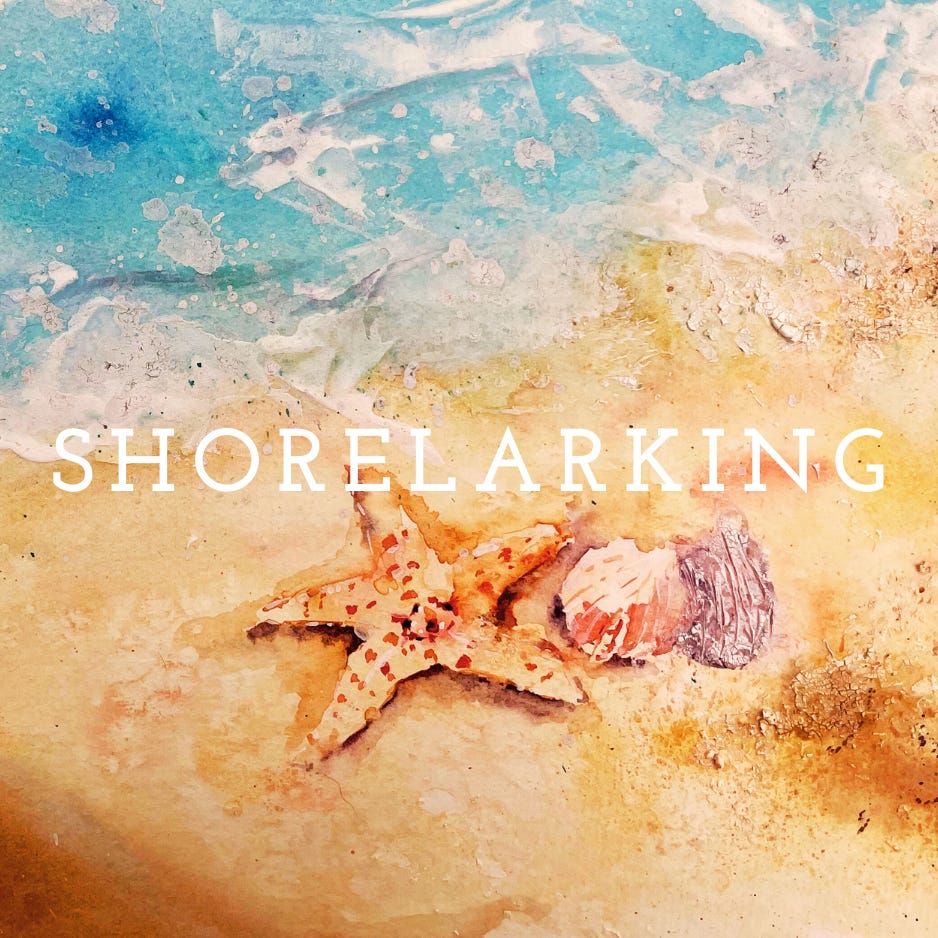 Shorelarking with Kat Healy \ud83c\udf0a