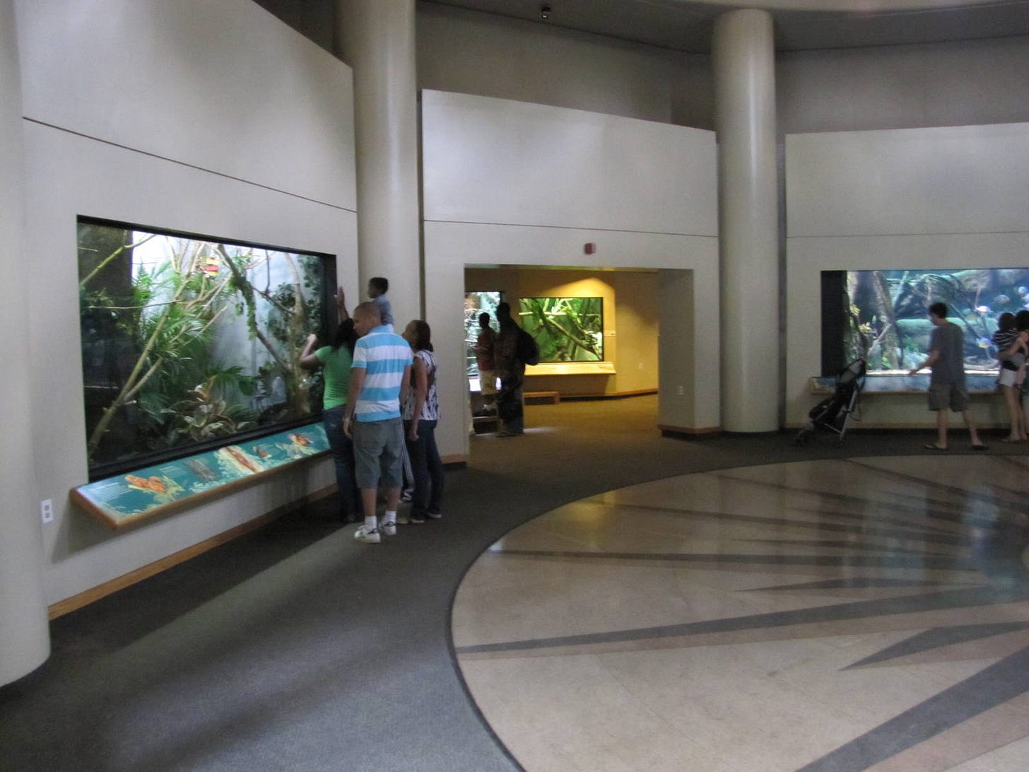 Prospect Park Zoo 2010 - Inside Animal Lifestyles building - ZooChat