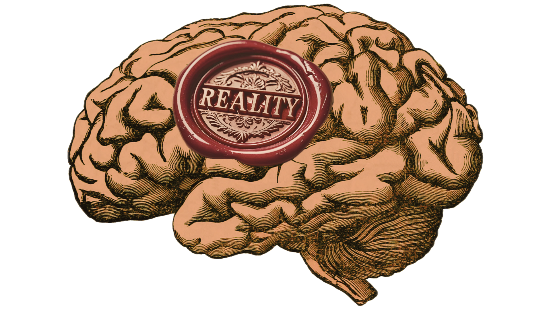 What are qualia? - Philosophy and Fiction