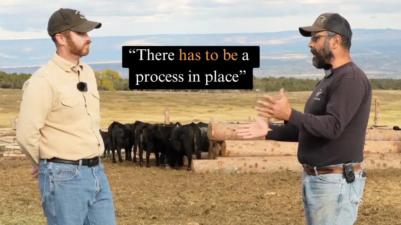 Two ranchers stand in a pasture discussing cattle weaning practices, with a small herd of calves behind them and text overlay reading “There has to be a process in place.” Two ranchers stand in a pasture discussing cattle weaning practices, with a small herd of calves behind them and text overlay reading “There has to be a process in place.”