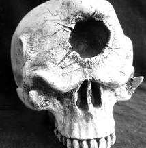 Can A Human Cyclops Exist? Historians, Paleontologists, And ...
