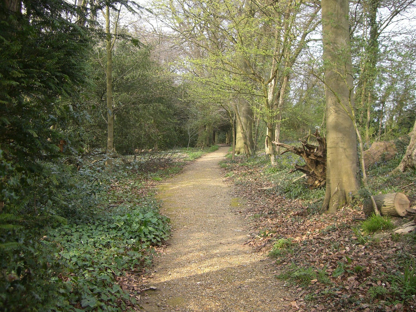 Darwin's 'Thinking Path' in the grounds of Down House, Kent, UK [2560×1920]  : r/EarthPorn