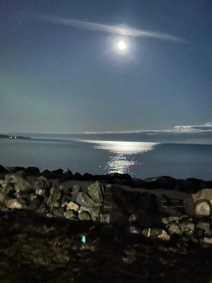 Photos of the pine trees again the Northern Lights, a bright moon over Lake Superior and stars in the sky.